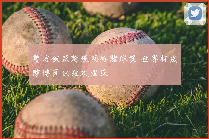 警方破获跨境网络赌球案 世界杯成赌博团伙狂欢温床