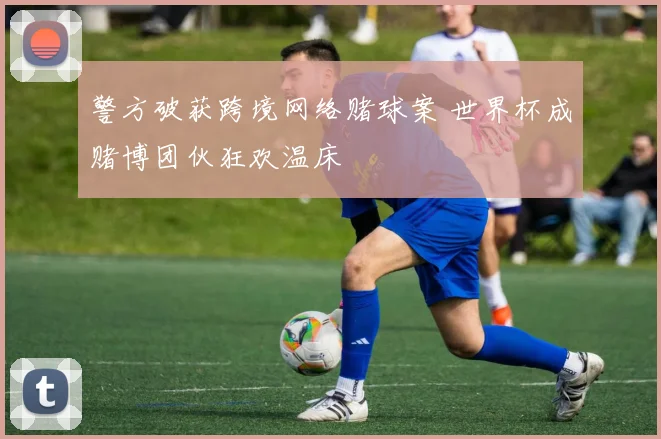 警方破获跨境网络赌球案 世界杯成赌博团伙狂欢温床