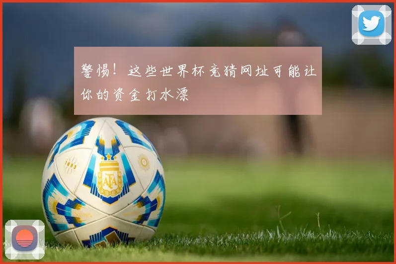 警惕！这些世界杯竞猜网址可能让你的资金打水漂
